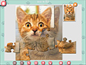 1001 Jigsaw Cute Cats