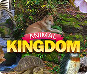 Animal Kingdom