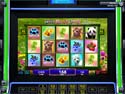 IGT Slots: Wild Bear Paws