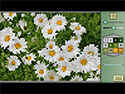 Pixel Art 4