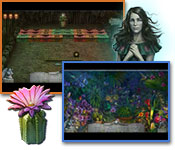 Redemption Cemetery: Day of the Almost Dead Collector's Edition