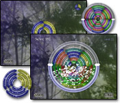 Ringlore